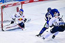 Eishockey, Herren, DEL, Penny DEL, Saison 2022-2023, Hauptrunde, Straubing Tigers - EHC Red Bull München, 47. Spieltag, 27.01.2023