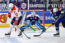 Eishockey, Men, CHL, Champions Hockey League, Regular Saison 2024-25, Game Day 4, Straubing Tigers - Dynamo Pardubice, 15.09.2024