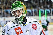 Eishockey, CHL, Champions Hockey League, 4. Spieltag, Saison 2022-2023, Gruppe F, Straubing Tigers - Färjestad BK Karlstad, 11.09.2022