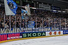 Eishockey, Men, CHL, Champions Hockey League, Regular Saison 2024-25, Game Day 4, Straubing Tigers - Dynamo Pardubice, 15.09.2024