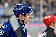 Eishockey, Men, DEL, Penny DEL, Hauptrunde Saison 2024-25, 1. Spieltag, Straubing Tigers - Düsseldorfer EG, 20.09.2024