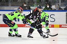 Eishockey, Herren, DEL, Saison 2020 2021, Straubing Tigers - ERC Ingolstadt, 31.01.2021