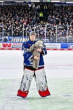 Eishockey, Herren, Penny DEL, 40. Spieltag, Saison 2023-2024, Straubing Tigers - Augsburger Panther,21.01.2024