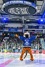 Eishockey, Herren, Penny DEL, Playoffs, Viertelfinale, Spiel 5, Saison 2023-2024, Straubing Tigers - Schwenninger Wild Wings,26.03.2024