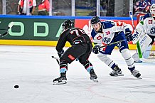 Eishockey, Men, CHL, Champions Hockey League, Regular Saison 2024-25, Game Day 1, Straubing Tigers - SonderjyskE Vojens, 06.09.2024