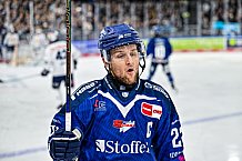 Eishockey, Men, DEL, Penny DEL, Hauptrunde Saison 2024-25, 4. Spieltag, Straubing Tigers - EHC Red Bull München, 29.09.2024