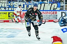 Eishockey, Herren, Penny DEL, 12. Spieltag, Saison 2023-2024, Straubing Tigers - Duesseldorfer EG,20.10.2023