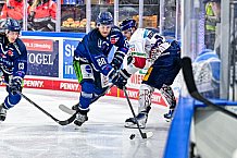 Eishockey, Men, DEL, Penny DEL, Hauptrunde Saison 2024-25, 5. Spieltag, Straubing Tigers - Eisbären Berlin, 01.10.2024