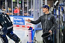 Eishockey, Men, DEL, Penny DEL, Hauptrunde Saison 2024-25, 1. Spieltag, Straubing Tigers - Düsseldorfer EG, 20.09.2024