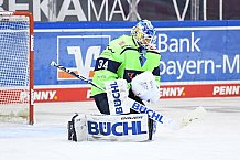 Eishockey, Herren, DEL, Saison 2020 2021, Straubing Tigers - ERC Ingolstadt, 31.01.2021