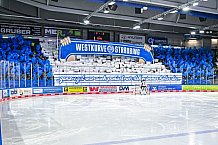 Eishockey, Herren, Penny DEL, 33. Spieltag, Saison 2023-2024, Straubing Tigers - Nürnberg Ice Tigers,30.12.2023