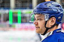 Eishockey, Herren, Penny DEL, 42. Spieltag, Saison 2023-2024, Straubing Tigers - Ingolstadt Panther,28.01.2024