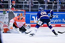 Eishockey, Herren, Penny DEL, DEL, Saison 2022-2023, Playoffs, Viertelfinale, Spiel 7, Straubing Tigers - Grizzlys Wolfsburg, 29.03.2023