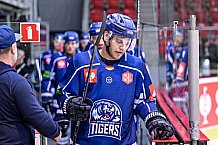 Eishockey, CHL, Champions Hockey League, 1. Spieltag, Saison 2022-2023, Gruppe F, Comarch Cracovia - Straubing Tigers, 01.09.2022