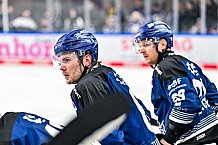 Eishockey, Herren, Penny DEL, Playoffs, Viertelfinale, Spiel 5, Saison 2023-2024, Straubing Tigers - Schwenninger Wild Wings,26.03.2024