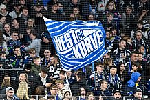 Eishockey, Herren, Penny DEL, 20. Spieltag, Saison 2023-2024, Straubing Tigers - Duesseldorfer EG,19.11.2023