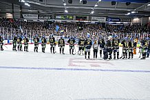 Eishockey, Herren, Penny DEL, 47. Spieltag, Saison 2023-2024, Straubing Tigers - Koelner Haie,18.02.2024