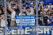 Eishockey, Men, CHL, Champions Hockey League, Regular Saison 2024-25, Game Day 2, Straubing Tigers - Skelleftea AIK, 08.09.2024