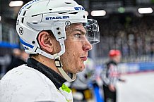 Eishockey, Herren, Penny DEL, 37. Spieltag, Saison 2023-2024, Straubing Tigers - Eisbären Berlin,12.01.2024
