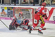 Herren, Eishockey, Oberliga-Süd, DEB, Saison 2024-2025, Spieltag 6, Deggendorfer SC - EC Peiting, 04.10.2024