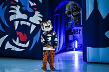 Eishockey, Herren, DEL, Saison 2021-2022, 55. Spieltag, Straubing Tigers - Augsburger Panther,  13.03.2022