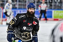 Eishockey, Herren, Penny DEL, 22. Spieltag, Saison 2023-2024, Straubing Tigers - Fischtown Pinguins Bremerhaven,26.11.2023
