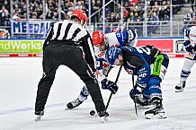 Eishockey, Herren, Penny DEL, Playoffs, Viertelfinale, Spiel 3, Saison 2023-2024, Straubing Tigers - Schwenninger Wild Wings,22.03.2024
