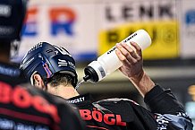 Eishockey, Herren, DEL, Saison 2021-2022, 01.10.2021