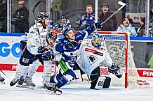 Eishockey, Herren, Penny DEL, 42. Spieltag, Saison 2023-2024, Straubing Tigers - Ingolstadt Panther,28.01.2024
