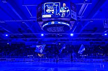Eishockey, Herren, Penny DEL, 8. Spieltag, Saison 2023-2024, Straubing Tigers - ERC Ingolstadt,06.10.2023