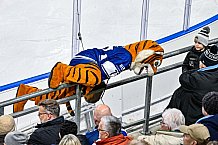Eishockey, Herren, Penny DEL, 26. Spieltag, Saison 2023-2024, Straubing Tigers - Iserlohn Roosters,10.12.2023