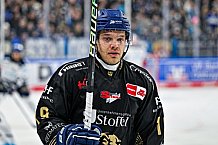 Eishockey, Herren, Penny DEL, 36. Spieltag, Saison 2023-2024, Straubing Tigers - Iserlohn Roosters,07.01.2024