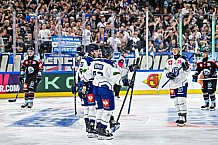 Eishockey, Men, CHL, Champions Hockey League, Regular Saison 2024-25, Game Day 1, Straubing Tigers - SonderjyskE Vojens, 06.09.2024