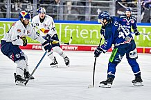 Eishockey, Men, DEL, Penny DEL, Hauptrunde Saison 2024-25, 4. Spieltag, Straubing Tigers - EHC Red Bull München, 29.09.2024
