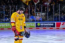 Eishockey, Herren, Penny DEL, 20. Spieltag, Saison 2023-2024, Straubing Tigers - Duesseldorfer EG,19.11.2023
