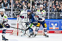 Eishockey, Herren, Penny DEL, Playoffs, Halbfinale, Spiel 2, Saison 2023-2024, Straubing Tigers - Eisbären Berlin, n03.04.2024
