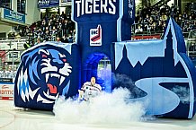 Eishockey, Herren, EHC Straubing U20, Saison 2021-2022, Ehrung, Bayerischer Meister 23.03.2022
