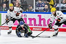 Eishockey, Herren, Penny DEL, 49. Spieltag, Saison 2023-2024, Straubing Tigers - Frankfurter Löwen,25.02.2024