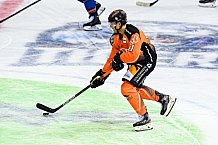 Eishockey, DEL, Penny-DEL, Vorbereitung, Gäubodencup 2021, 15.08.2021