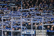 Eishockey, Herren, Penny DEL, Playoffs, Halbfinale, Spiel 2, Saison 2023-2024, Straubing Tigers - Eisbären Berlin, n03.04.2024