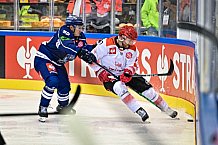 Eishockey, CHL, Champions Hockey League, 3. Spieltag, Saison 2022-2023, Gruppe F, Straubing Tigers - Comrach Cracovia, 09.09.2022