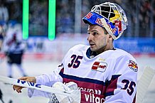 Eishockey, Herren, DEL, Saison 2022-2023, Hauptrunde, Straubing Tigers - EHC Red Bull München, 13. Spieltag, 21.10.2022