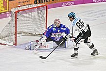 Herren, Eishockey, Oberliga-Sued, Saison 2023-2024, DEB, Deggendorfer SC - Bayreuth Tigers, 1. Spieltag, 28.09.2023