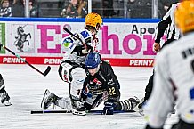 Eishockey, Herren, Penny DEL, 22. Spieltag, Saison 2023-2024, Straubing Tigers - Fischtown Pinguins Bremerhaven,26.11.2023