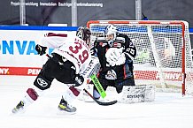 Eishockey, Herren, DEL, Saison 2020-2021, Straubing Tigers - Kölner Haie, 11.04.2021
