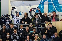 Eishockey, Herren, DEL, Saison 2021-2022, 07.11.2021