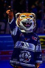 Eishockey, Herren, Penny DEL, 42. Spieltag, Saison 2023-2024, Straubing Tigers - Ingolstadt Panther,28.01.2024