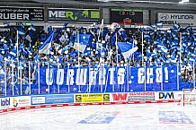 Eishockey, Herren, Penny DEL, Playoffs, Viertelfinale, Spiel 3, Saison 2023-2024, Straubing Tigers - Schwenninger Wild Wings,22.03.2024