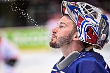 Eishockey, CHL, Champions Hockey League, 1. Spieltag, Saison 2022-2023, Gruppe F, Comarch Cracovia - Straubing Tigers, 01.09.2022