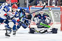 Eishockey, Herren, Penny DEL, Playoffs, Viertelfinale, Spiel 5, Saison 2023-2024, Straubing Tigers - Schwenninger Wild Wings,26.03.2024